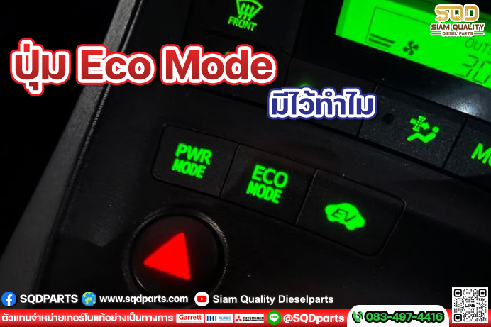 Images/Blog/30MZZTCZ-01 New.jpg