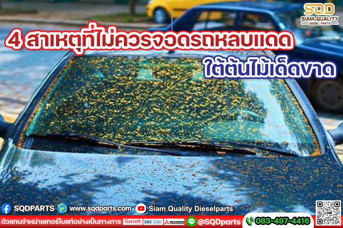 Images/Blog/3eiUt5pL-01 New.jpg