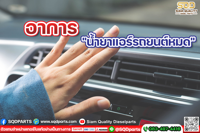 Images/Blog/8Cf53Eot-01 New.jpg