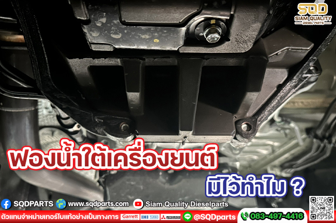 Images/Blog/8uIkTjQN-01 New.jpg