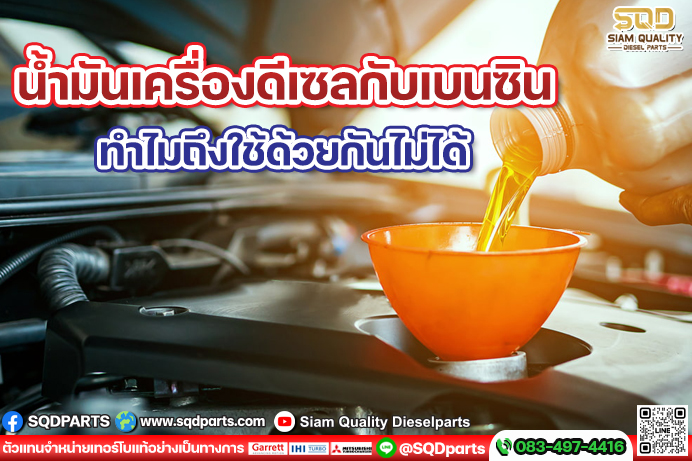 Images/Blog/LsfDnigc-01 New.jpg