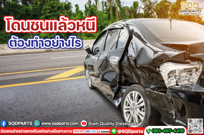 Images/Blog/MSK78pie-01 New.jpg