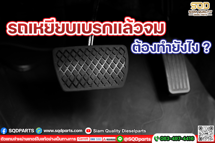 Images/Blog/OpBmWUmn-01 New.jpg