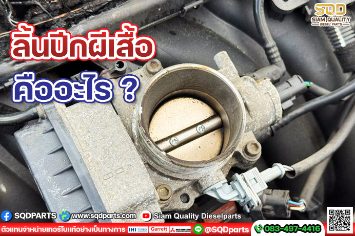 Images/Blog/TU7Z2GP0-01 New.jpg