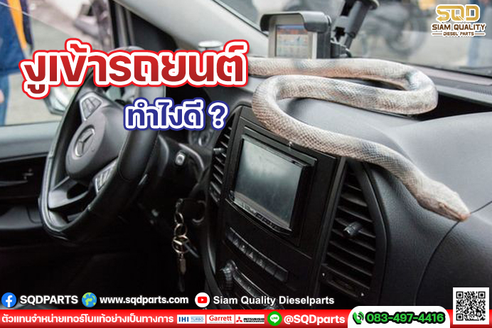 Images/Blog/Vtyg6fyH-01 New.jpg