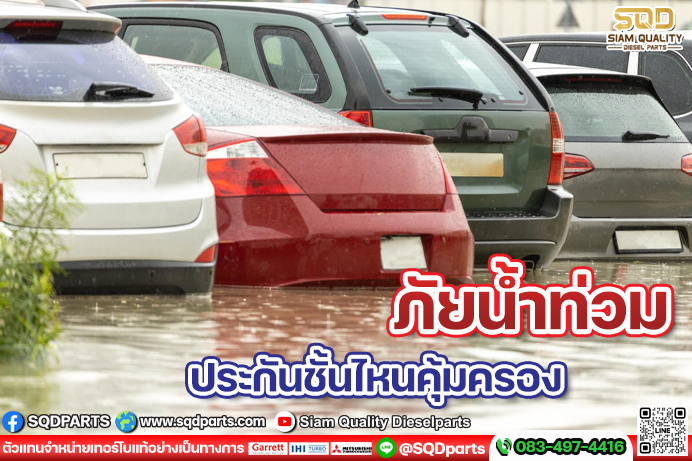 Images/Blog/W67VLPqX-01 New.jpg