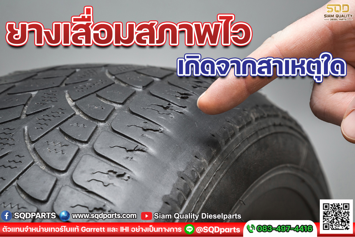 Images/Blog/WCWHzVGY-01 แบบ 3 รูป.jpg