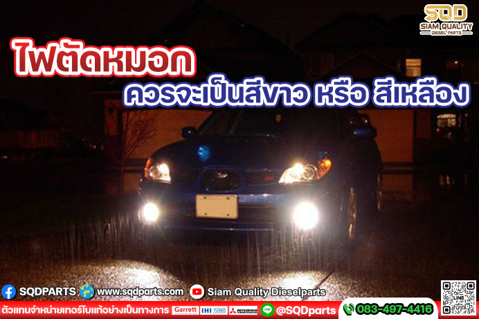 Images/Blog/Z0eK7EKM-01 New.jpg