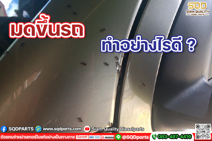 Images/Blog/dyJRsRcT-01 New.jpg