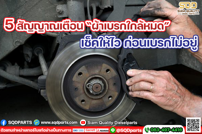 Images/Blog/j5eVHxKp-01 New.jpg