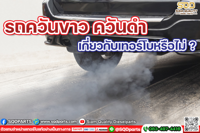 Images/Blog/pOF1Qpr9-01 New.jpg