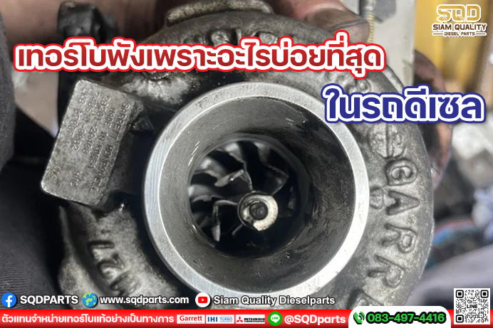 Images/Blog/rj5Yr4fw-01 New.jpg